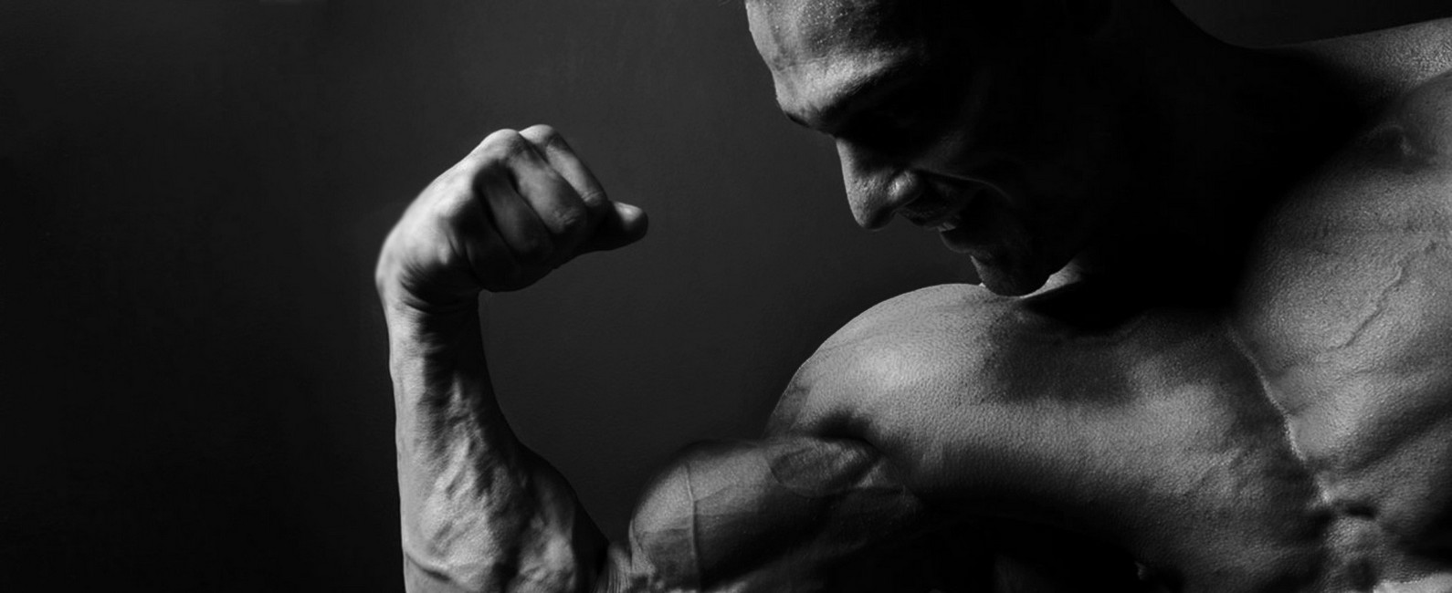 Anabolic steroids and immune system